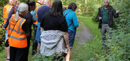 Meet the Trees: Guided Walk