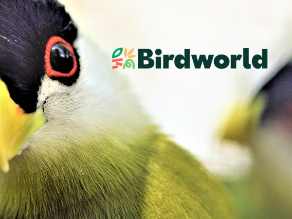 BIAZA Bird WG Conference
