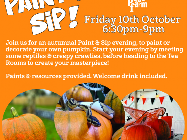 Pumpkin Paint & Sip (10th October)