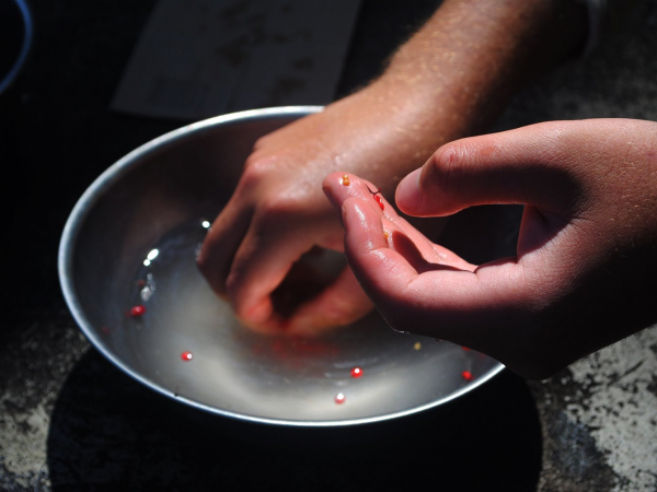Close up of handling small seeds in a metal bowl of water.