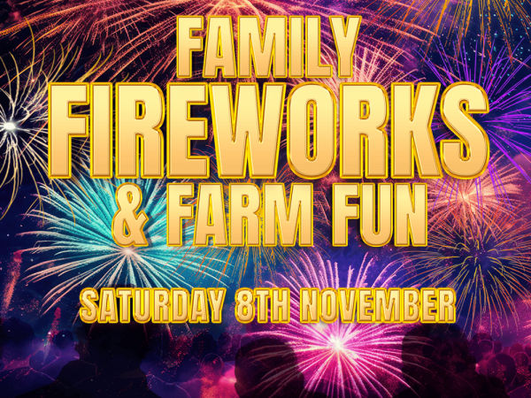 Family Fireworks