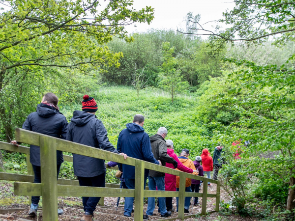 Walk & Talk: The Secret Life of Elfield Nature Park