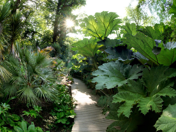 Meet the Gardener: Jungle Garden Tour at The Lost Gardens of Heligan