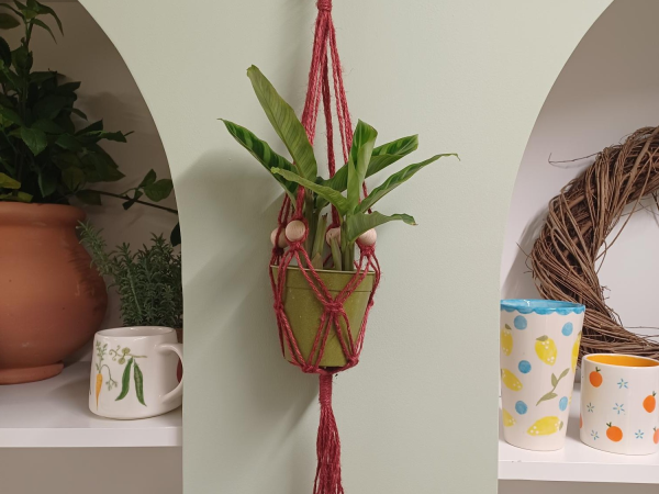 Macrame Plant Hangers at Yarnton 28th August