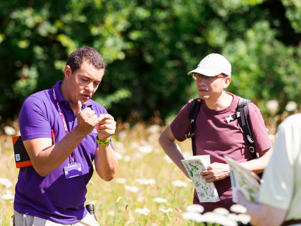 Workshop: A Beginner's Guide to Hay Meadow Plant ID