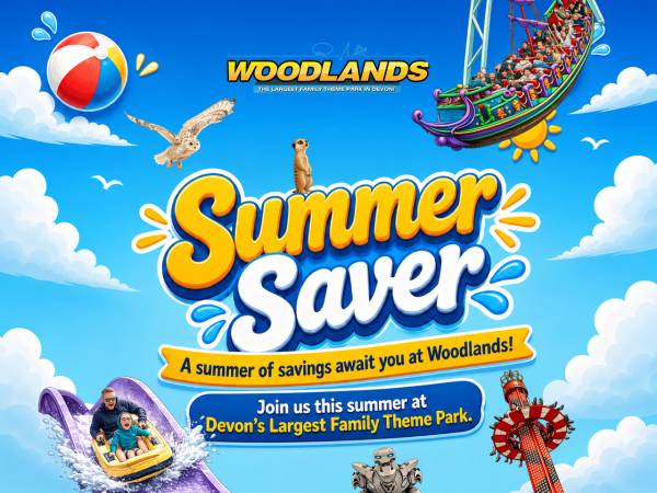 Summer Saver Ticket 25th June - 1st September 2026