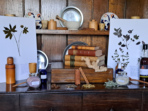 Herbs at Sea in the 17th – 19th Centuries