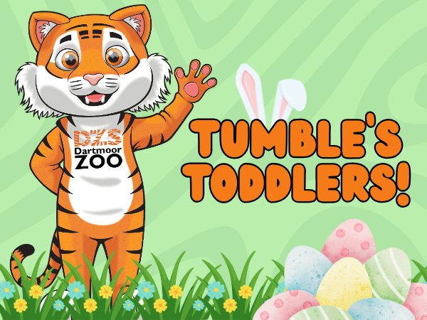 Tumble's Toddlers