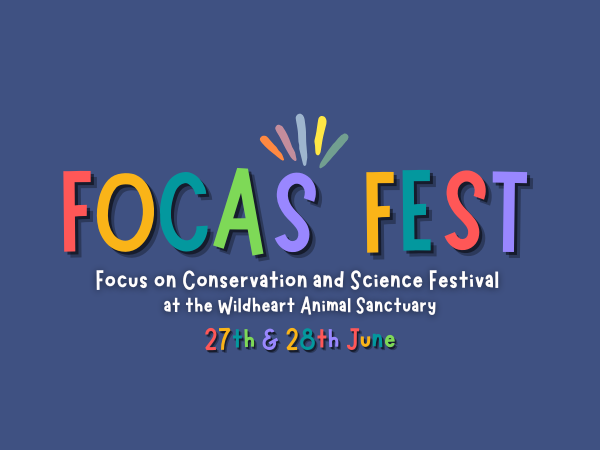 FOCAS Fest