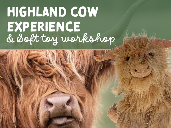 HIGHLAND Cow Experience & Soft toy workshop