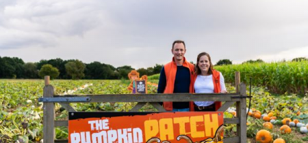 Pumpkin Patch Admission- Pick your own Pumpkins at BASILDON SS15 4ER 2024