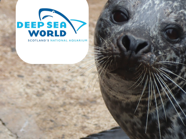 BIAZA Pinniped Husbandry Conference 2026