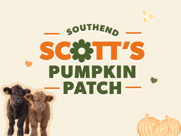 Scott’s Pumpkin Patch 2026