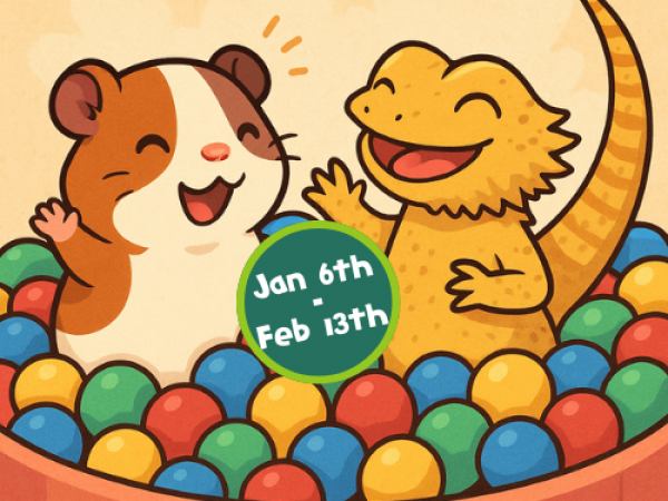 2026 - Term-time weekdays and Critter Carnival weekends (6th Jan - 13th Feb)