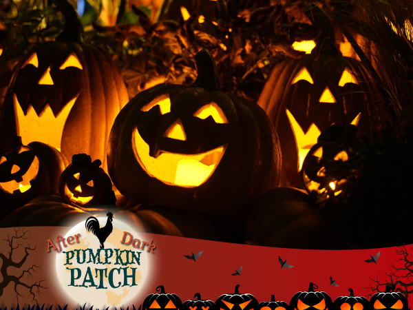 The Pumpkin Patch After Dark