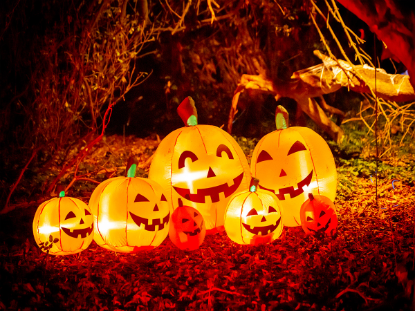 Trick or Treat Trail - Family Halloween Adventure