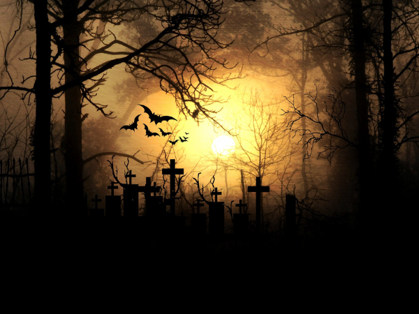 Halloween Hunt at Lathcoats Farm
