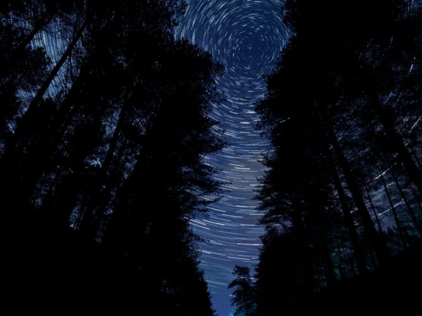 Dundreggan Nocturnal Adventure