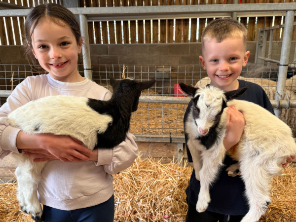 Baby Goat Experience