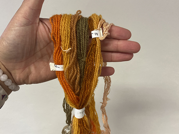 Natural Yarn Dyeing Masterclass with Ria Burns 2 day workshop