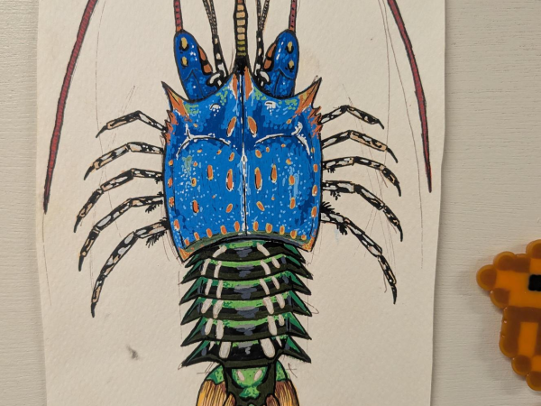 Gallery Exhibition Opening: Palaeontology Art