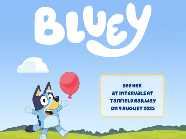 Bluey Visits! Train Tickets (North East)