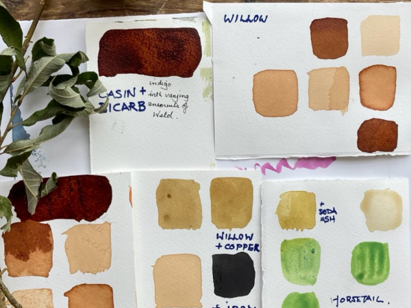 Make your own concertina book using natural plant dyes @ Coldstream Museum