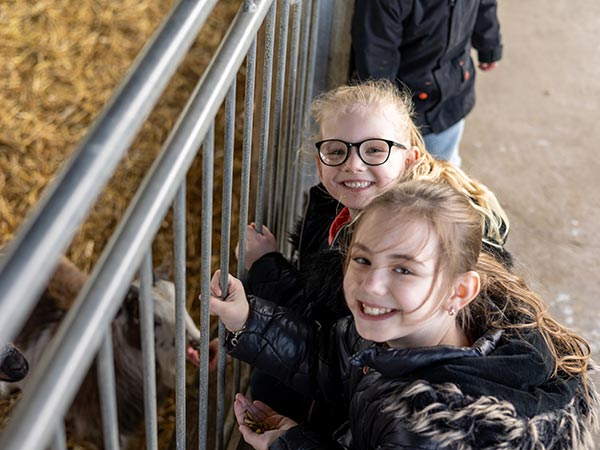 Tickets for Marsh Farm