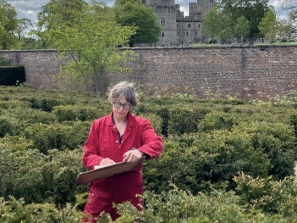 Sarah Nelson: Live Drawing in The Walled Gardens