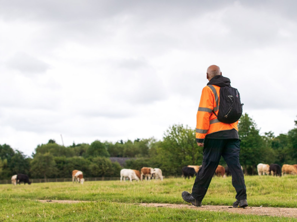 Walk & Talk: The Life of a Ranger