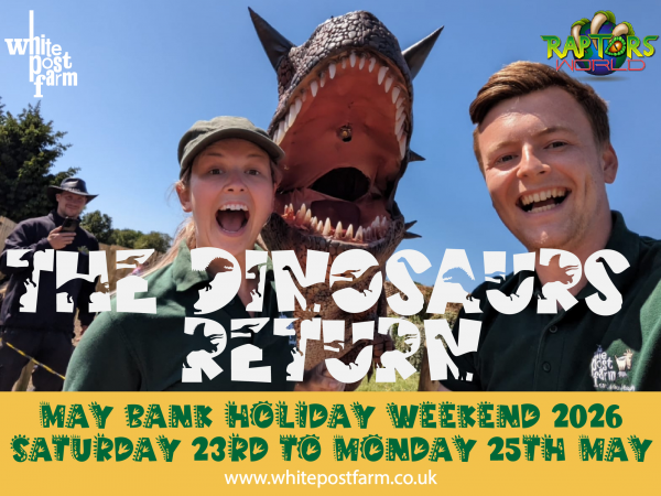 Dino Bank Holiday Weekend 2026