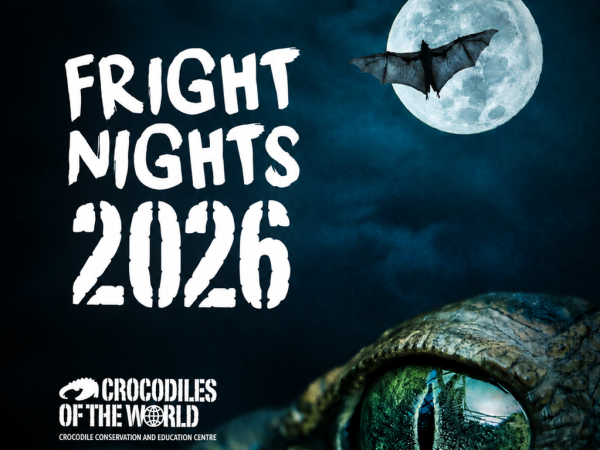 Fright Night