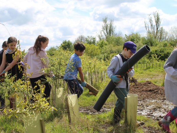 Junior Park Rangers Workshop 2025 - Willow, Wetlands and Waders