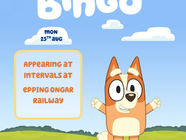 Bingo Visits! Train Tickets (Essex)
