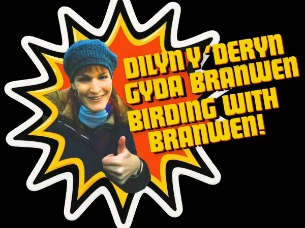 Birding with Branwen