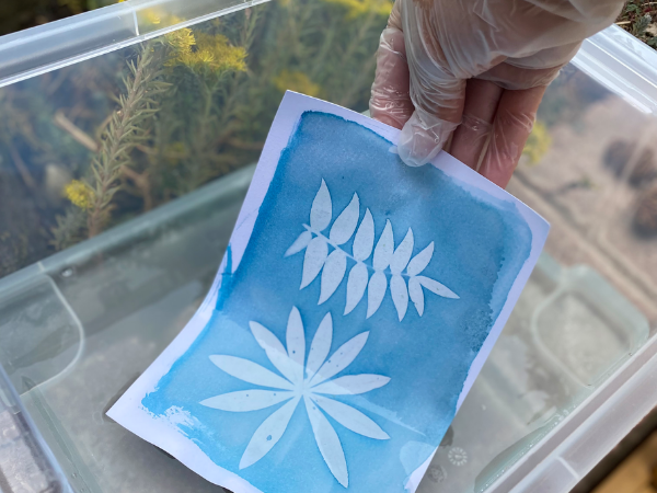 Fantasy Sun Printing - Adults