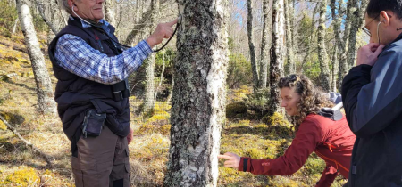 Birch Tapping Workshop