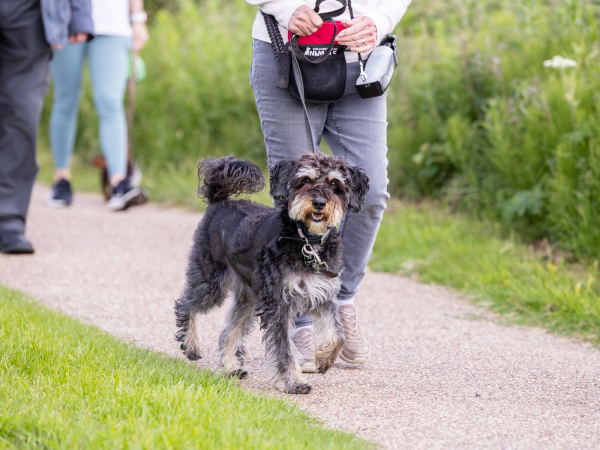 Woof Walk: Lodge Lake 2026
