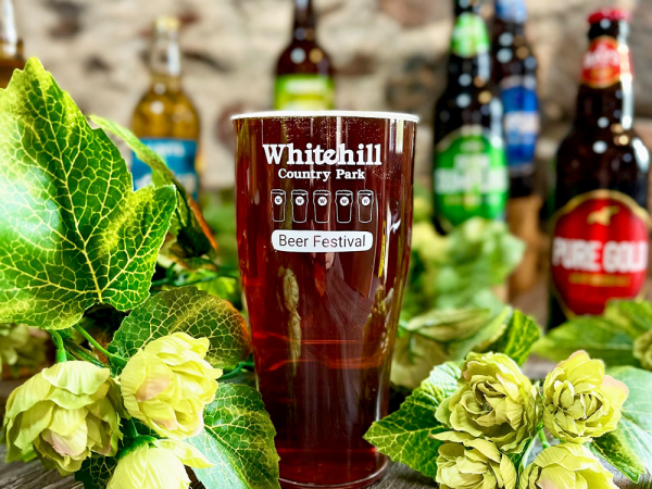 Whitehill Beer Festival 26 October 2024