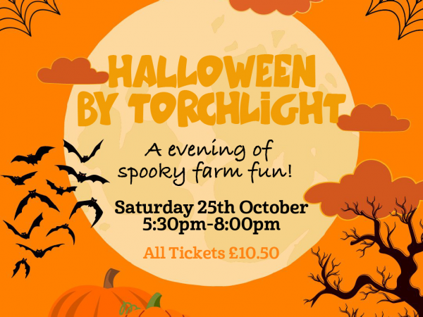 Halloween by Torchlight