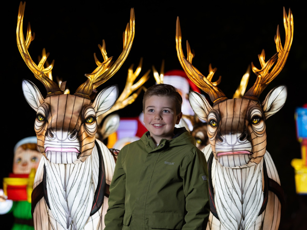 Wild Lights & Santa's Grotto 2026 (Bundle)