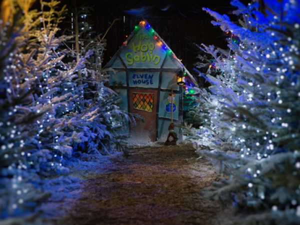 Farm at Christmas