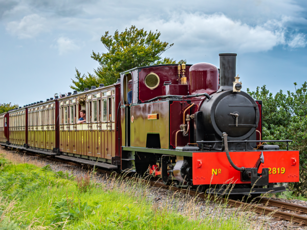 Autumn Gala - Sunday Entry