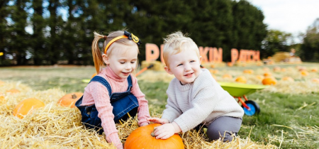 Frosts Pumpkin Patch at Willington