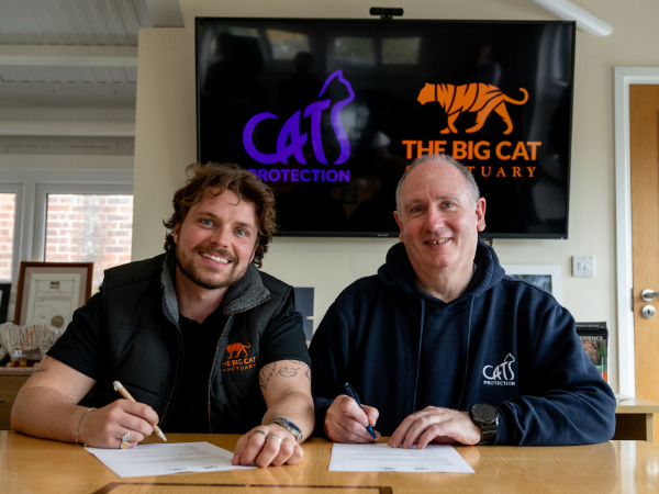 Conservation Conversation - Hybridisation of Cats