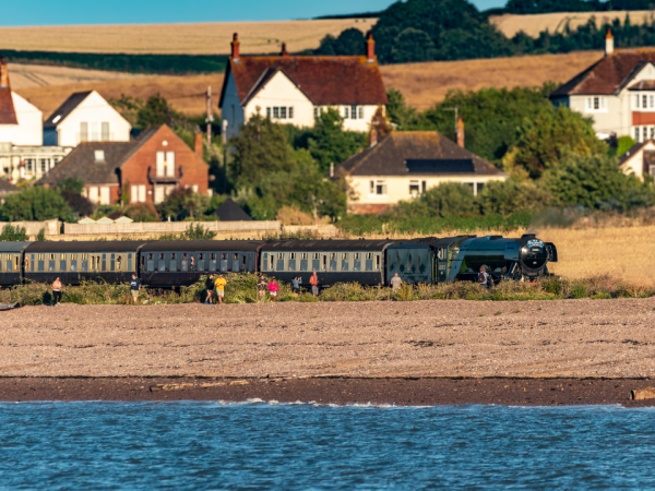 Railtour - Legendary Journey with Flying Scotsman (Bristol - Minehead)