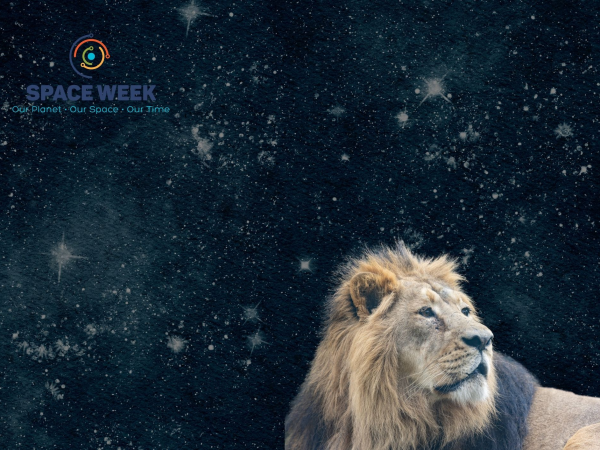 Astrozoo Family Workshop: Space Week at Dublin Zoo