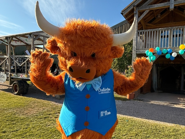 Thursday 19th February - McMoo's Storytime Fun Sessions - 11am , 12pm, 1pm & 2pm