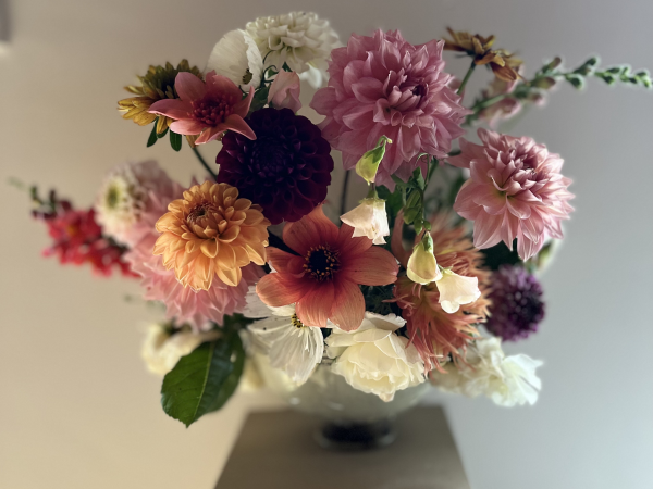 Dahlia Workshop - With Periwinkle Barn