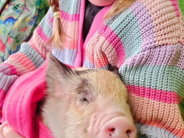 Farm Academy INCLUDES PIGLET SNUGGLING!!